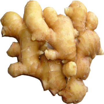 Fresh Ginger Packed In Box