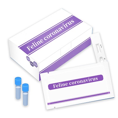 feline coronavirus