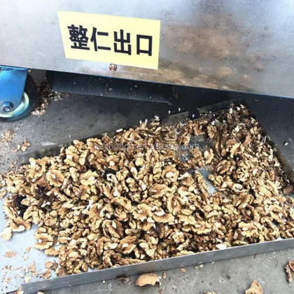 Commercial Walnut Hull Extractor Machine: Effective Solution for Removing Husks - Now Available for Sale