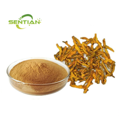 Coptis Chinensis Root Extract Sale