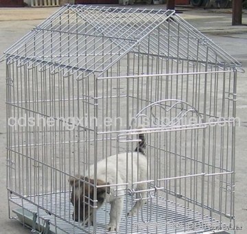 Beautiful House For Dog 