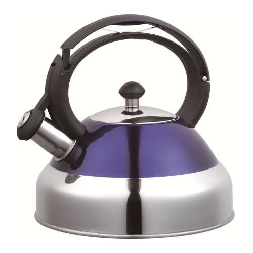 Wide Mouth of Painting Purple Whistling Kettle