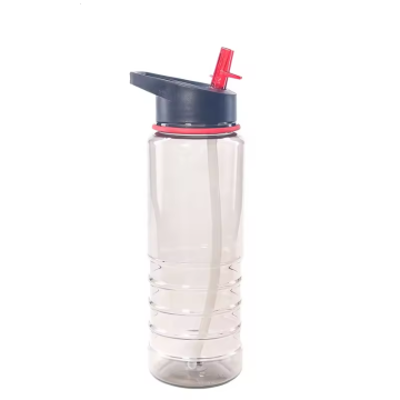 BPA-Free Transparent Flip Handle Cycling Camping Water Bottle with Straw, 750ml