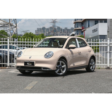 2023 ORA Good Cat: 401km/501km Deluxe New Energy Electric Vehicle