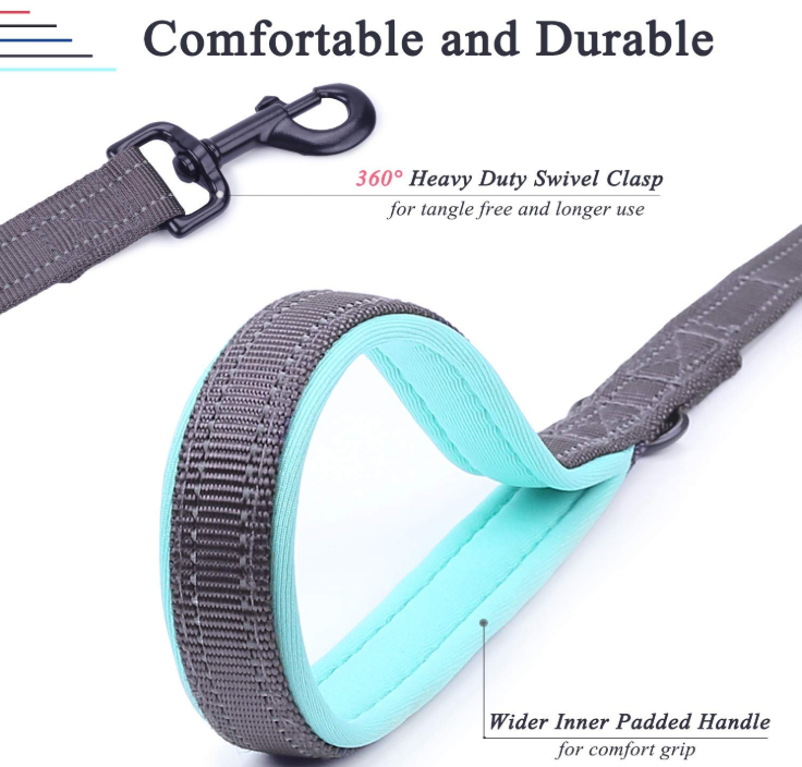 Two Handles Dog Leash