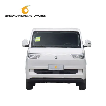 RUICHI RICH EC75 FWD Electric Van - 2 Seats Pure Electric Cargo Van by DFSK
