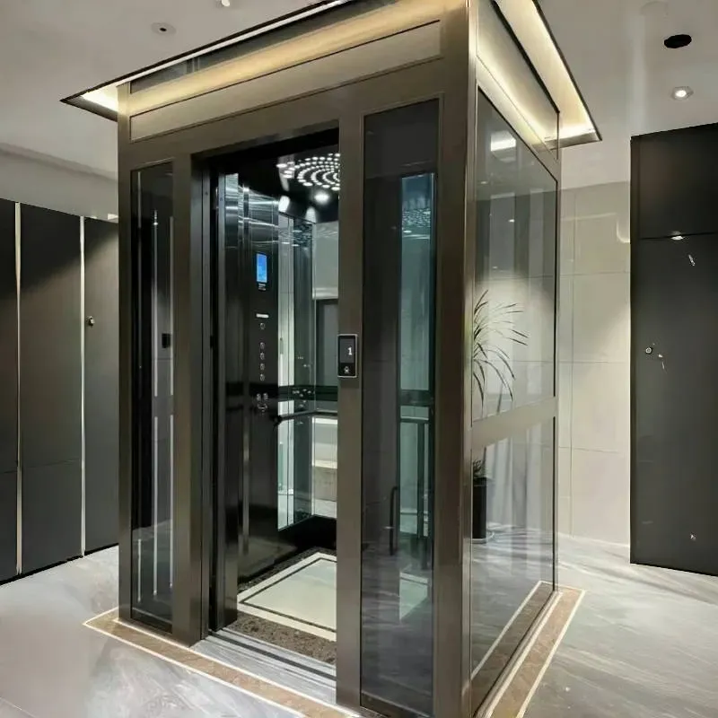 Small Home Lift Traction Elevator Price for Residential Villa