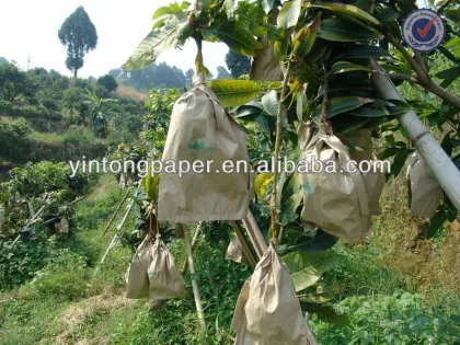 Water Proof Loquat Protection Paper bag