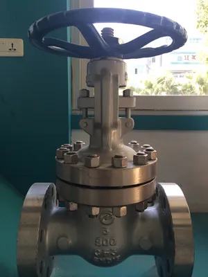 Class 900 gate valve 3 Inch