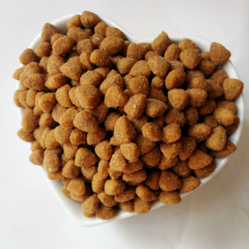 dry cats food 100% Safe pet food