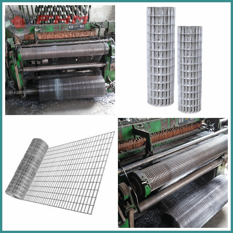 welded wire mesh