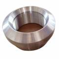 SS304 stailness steel threadolet fittings
