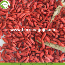 Factory Supply Nutrition Dried Lycium Chinensis