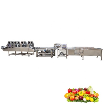 Automatische Reinigung von Obst und Gemüse und Waschleitung