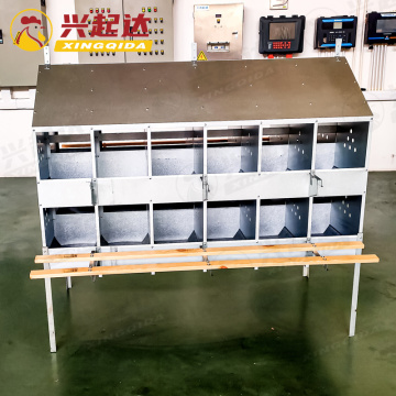 Automatic Chicken Nesting Box with Egg Collection and Galvanized Frame