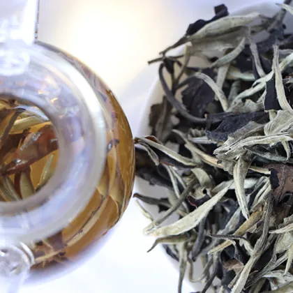 Best Selling Yunnan Organic Slimming Tea Moonlight White Tea