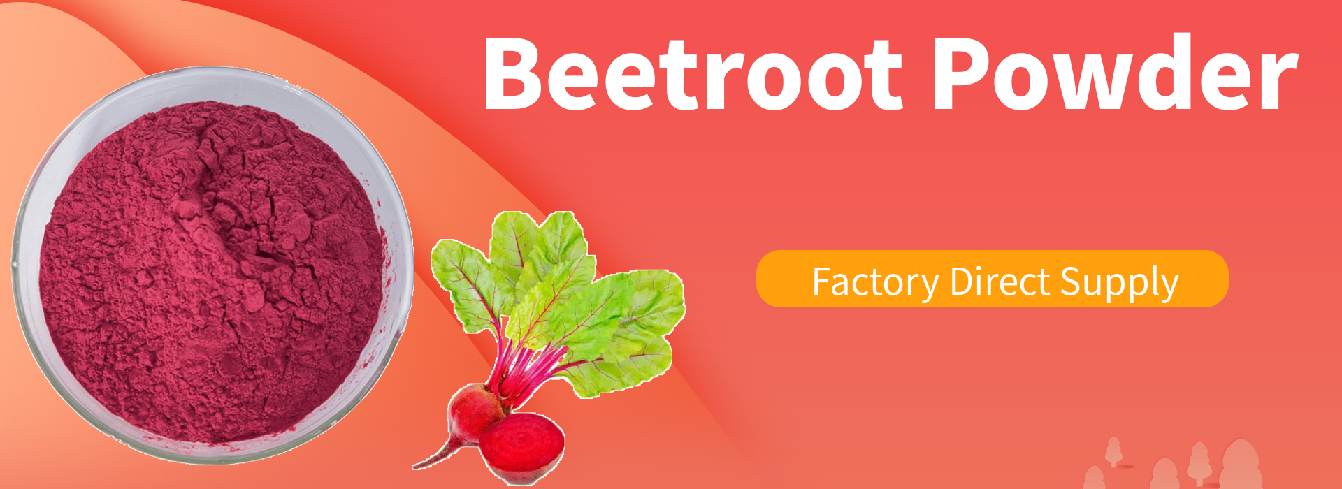 Beetroot Powder1