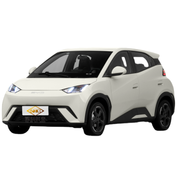 2023ベストプライスバイドシーガル電気自動車