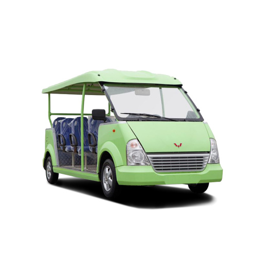 11 seat open petrol sightseeing car