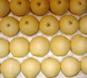 Pear