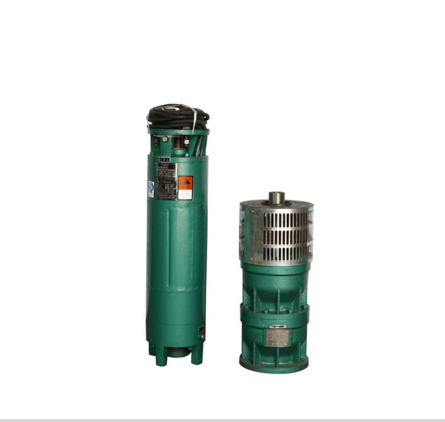 QJ Vertical Water Motor Pump