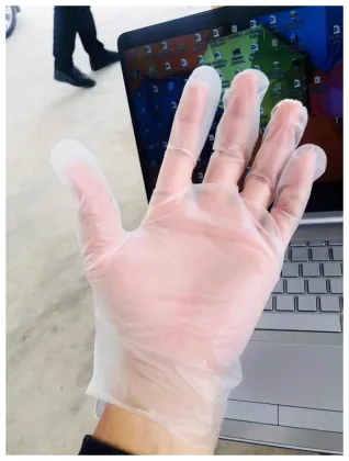 Brand New Protective Household Tpe Gloves