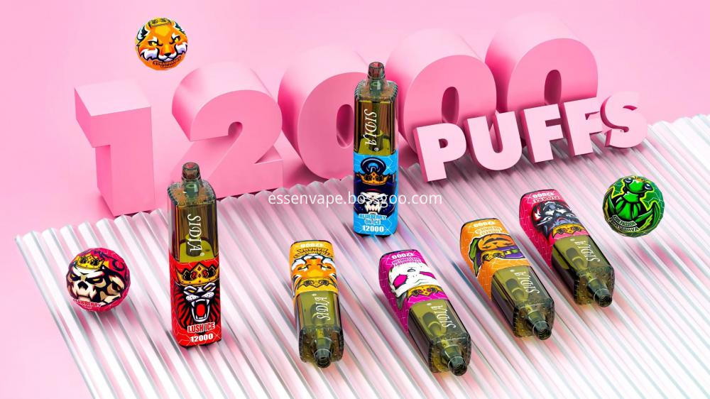 Disposable 12000 Puff Wholesaless
