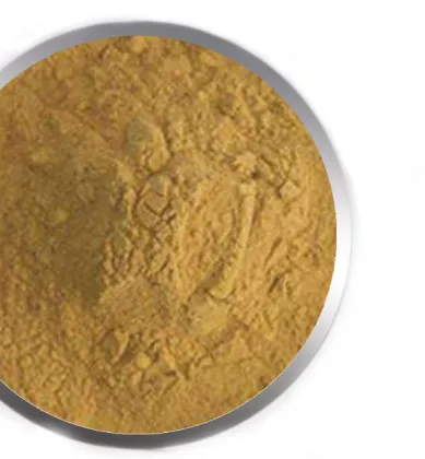 Citrus lemon dwarf citrus orange trees