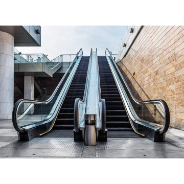 Escalator With 600mm to 800mm 1000mm Steps Sidth