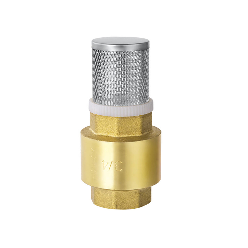 Horizontal Check Valve