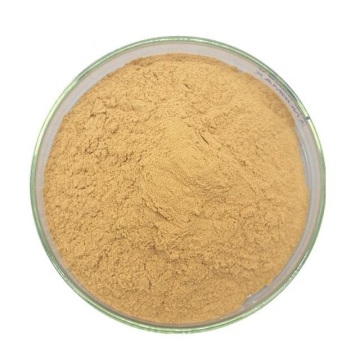 Ashwagandha Extract Withanolide 1%-10% Powder