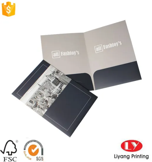 Hot Sale Printed Pocket File Folder