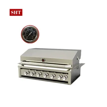 Luxury Modern 304 Stainless Steel 6 Burners Built in Gas BBQ Grill Chicken Roast Grill in Garden
