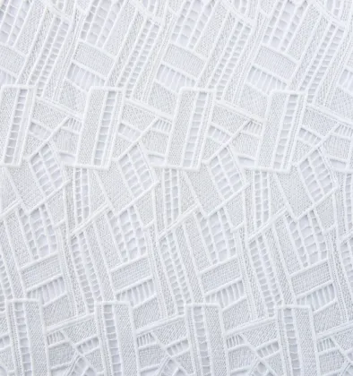 Schiffli Lace dress flower cotton Embroidery Fabrics