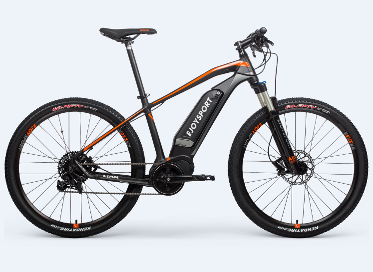 Mid Drive Mountain Bike