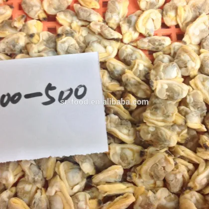 frozen shellfish series frozen short necked clam (baby clam)