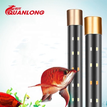 Quanlong High Quality WRGB T8 LED Aquarium Lighting for Arowana Fish
