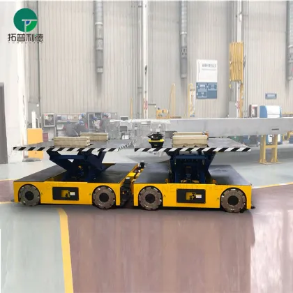 Electric Telecontrol Logistics Robots for Long Distance Transport