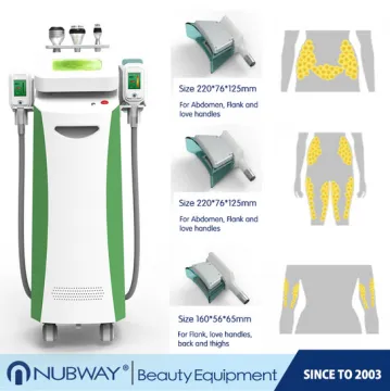 Promotion!!! 5 Handpieces cold lipolysis criolipolisis 2016 body weight loss sculpting slimming freeze fat Cryolipolysis machine