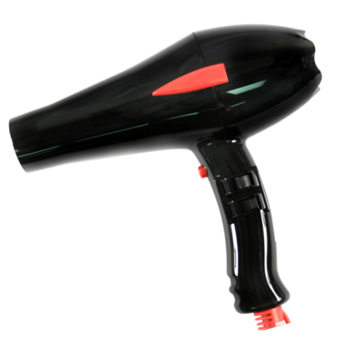 AC Power Super Silent Professional Salon Hair Dryer