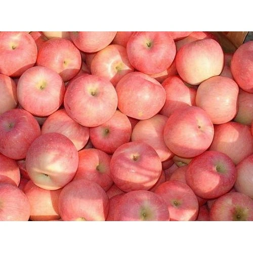 2020 New Crop Fresh China Red Paper Bagged FUJI Apple China Manufacturer