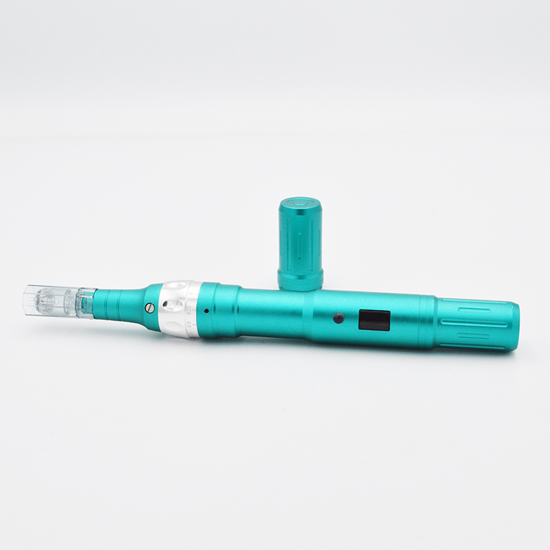 LCD Display 6 Levels Rechargeable Electroporation Pen