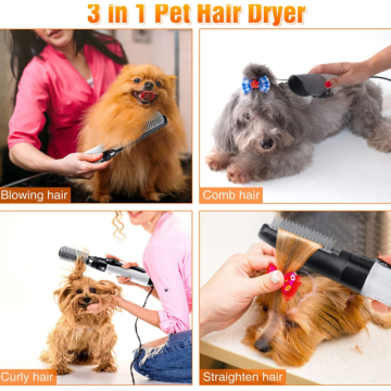 Sèche-cheveux pour animaux de compagnie avec brosse slicker