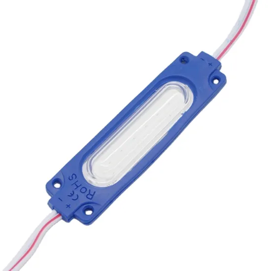 Blue Light DC 12V/24V LED Module: 2W Injection PVC IP65 Clear Lens, 12V Backlight, 7019mm for Advertising Box with COB Technology