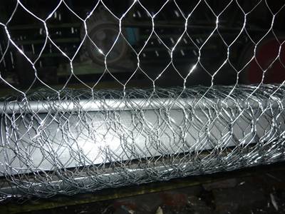 Stainless Steel Chicken Wire