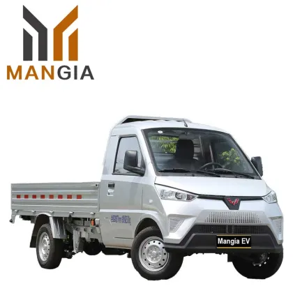2023 New Wuling Electric Truck New Energy Electric Car