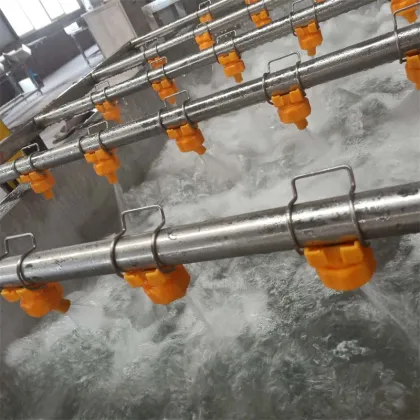 Dry and Wash Fruits and Vegetables Line: Dragon Fruit/Pitaya Washing Machine