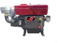 ZS1125 Vattenkyld encylinderdieselmotor
