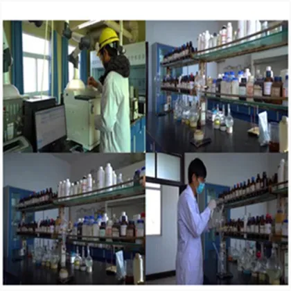 Best grade lions mane capsules mushroom lion mane