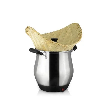 Energy Saving Multi-functional Double Layer Electric Steamer